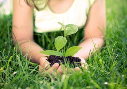 photo of a little girl holding a plant in grass